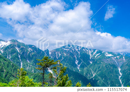 [Mountain material] Sea of clouds and Shirouma Sanzan seen from Mt. Kotomiyama [Nagano Prefecture] 115517074