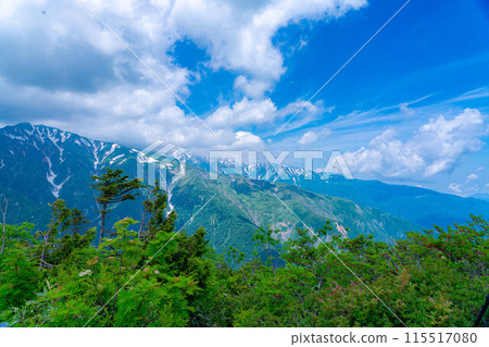 [山素材]從琴宮山看到的雲海和白馬三山【長野縣】 115517080