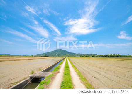 從糸島農家小徑看到的風景 115517244