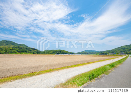 View from the fields of Itoshima 115517389