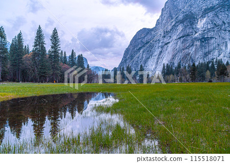 Yosemite View in California 115518071