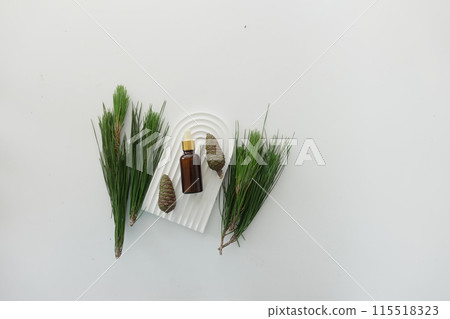 Bottle of pine essential oil and tree branch on white background 115518323