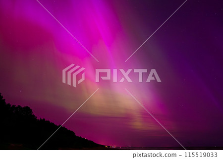 Vibrant pink, purple, and green aurora borealis illuminates the night sky over Jurmala, Latvia. Silhouetted forest and distant city lights add to the captivating scene. 115519033