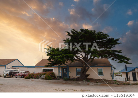 Serene coastal scene in California, likely near 17 Mile Drive. Focus on large tree by house with blue trim. Vibrant sky at sunrise or sunset. Peaceful ambiance of Pacific Coast Highway communities. 115519104