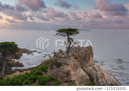 Serene coastal scene along 17 Mile Drive, California. Iconic cypress tree on rocky outcrop. Pastel sky, calm ocean, greenery. Natural beauty and tranquility. 115519105