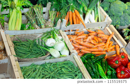 Colorful organic vegetable display in natural foods store Colorful organic vegetable display in natural foods store 115519375