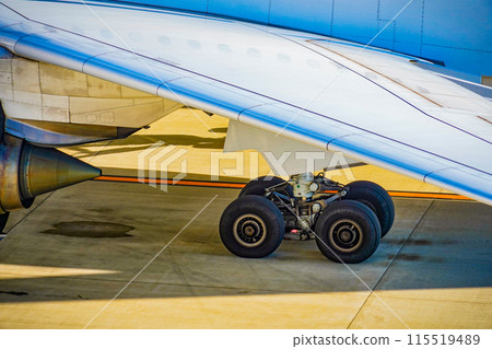 飛機起落架和陰影 飛機起落架和陰影 115519489