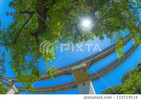 多摩單軌鐵路和晴朗的天空（多摩動物園公園站） 115519519