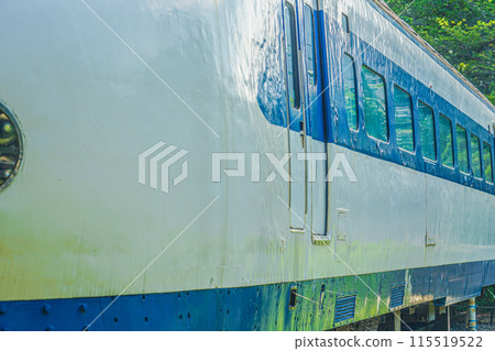 系列0新幹線（厚島杜鵑花公園） 115519522