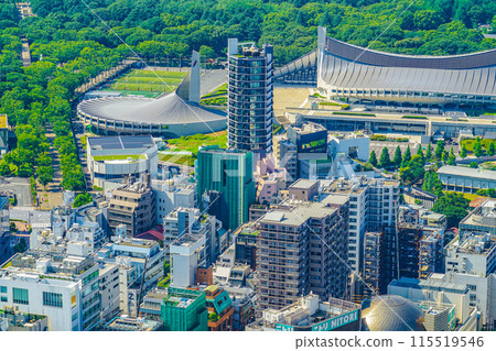 從澀谷天空看的東京城市景觀 115519546