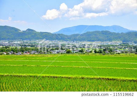 View of Kitahosono Station and Ikeda Town (around Ikeda Technical High School) from Matsukawa Village, Nagano Prefecture (Matsukawa Village, Nagano Prefecture) [June 2024] 115519662