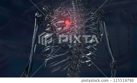 The scapula or shoulder blade for Backache and sci concept 3d rendering. The scapula or shoulder blade for Backache and sci concept 3d rendering. 115519798