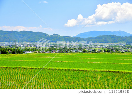 從長野縣松川村眺望池田市政廳和北細野車站（長野縣松川村） [2024.6] 115519838