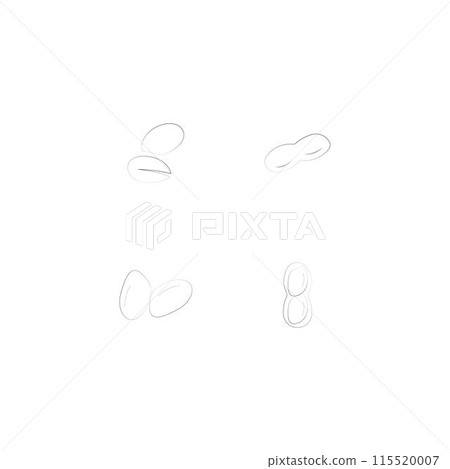 peanut icon peanut icon 115520007