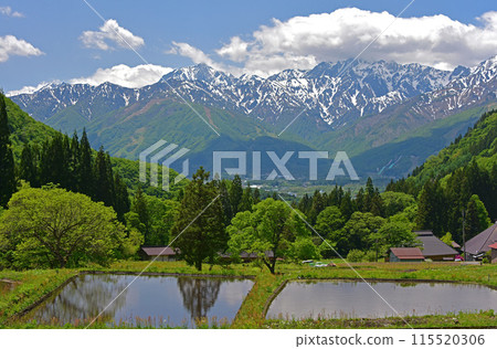 Hakuba in May: The Northern Alps and the rice terraces of Aooni village 115520306
