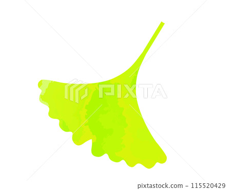 銀杏落葉的插圖 銀杏落葉的插圖 115520429