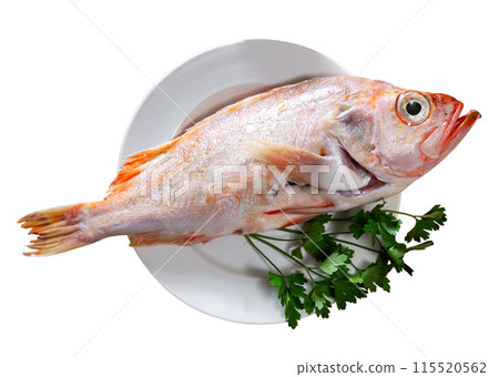 Raw red sea bream with condiments prepared for cooking Raw red sea bream with condiments prepared for cooking 115520562