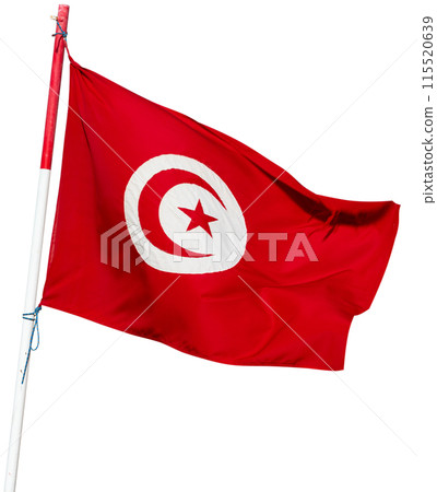 Flag of Tunisia waving against background Flag of Tunisia waving against background 115520639