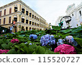 Hydrangeas at Sedona Square in Macau 115520727