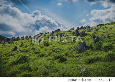 The early summer scenery of Tengu Plateau under clear blue skies. 115520912