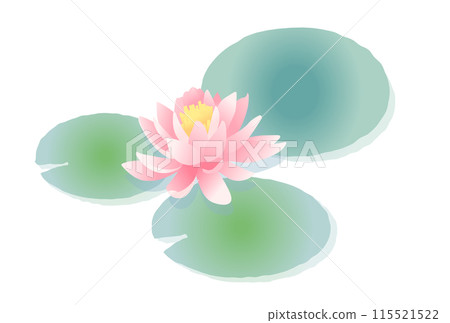 Pink lotus illustration Pink lotus illustration 115521522