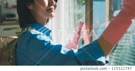 Housewife cleaning windows Housewife cleaning windows 115521747
