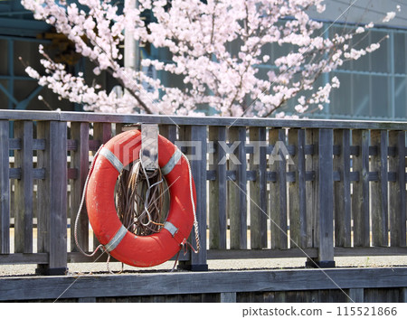 救生浮 救生浮 115521866