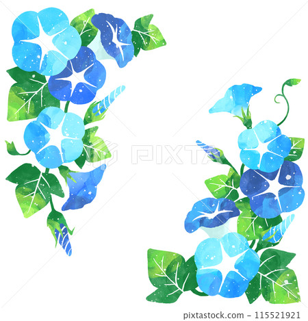 藍色牽牛花的卡通插圖， 115521921
