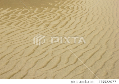Tottori sand dunes and their patterns in spring Tottori prefecture Tottori sand dunes Tottori sand dunes and their patterns in spring Tottori prefecture Tottori sand dunes 115522077