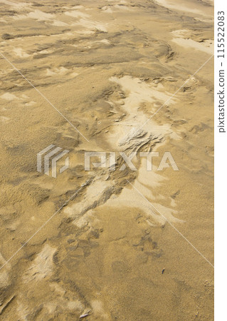 Tottori sand dunes and their patterns in spring Tottori prefecture Tottori sand dunes Tottori sand dunes and their patterns in spring Tottori prefecture Tottori sand dunes 115522083