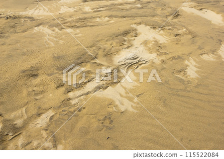 Tottori sand dunes and their patterns in spring Tottori prefecture Tottori sand dunes Tottori sand dunes and their patterns in spring Tottori prefecture Tottori sand dunes 115522084