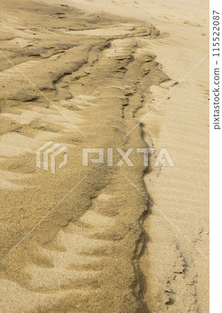 Tottori sand dunes and their patterns in spring Tottori prefecture Tottori sand dunes Tottori sand dunes and their patterns in spring Tottori prefecture Tottori sand dunes 115522087