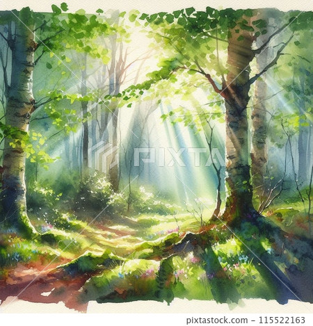 在新葉的森林裡 115522163