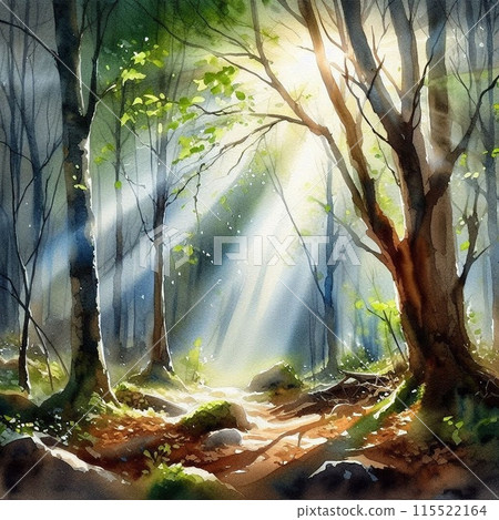 在森林裡 115522164