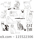 Illustrations of cats by type 115522306