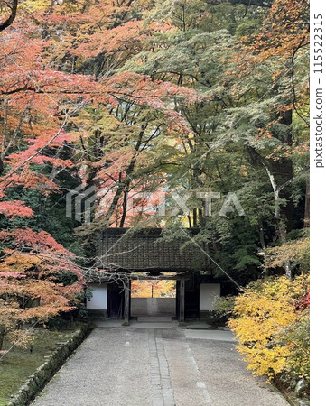 Autumn leaves at Korankei and the gate of Kosekiji Temple 115522315