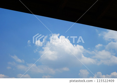初夏 115522409