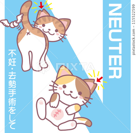 TNR_Cat trapping machine revised version_N_NEUTER_Spay and neuter surgery_Surgery for both male and female cats_Cherry-blossom ear cut 115522599