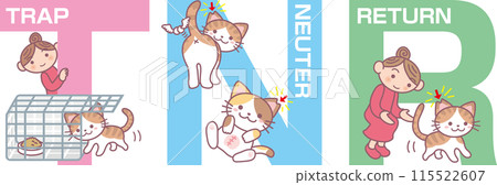 TNR插畫修改版_雉貓主_僅英文符號 TNR插畫修改版_雉貓主_僅英文符號 115522607