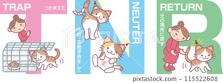 Revised TNR illustrations_Pheasant cats as the main focus_Japanese text included 115522608