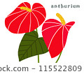 Anthurium material illustration 115522809
