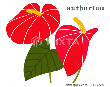 Anthurium material illustration 115522809