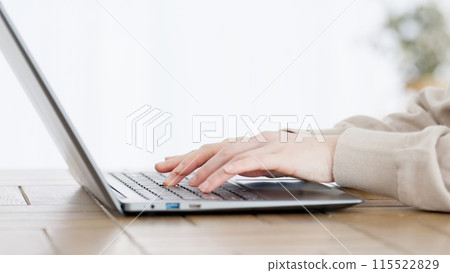 在筆記型電腦上工作的女人 115522829