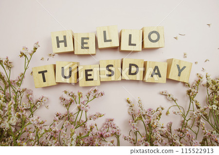 Hello Tuesday alphabet letter on pink background 115522913