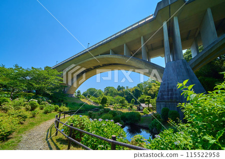 從公園抬頭仰望東京稻城市若葉台的笠里大橋和繡球花 115522958