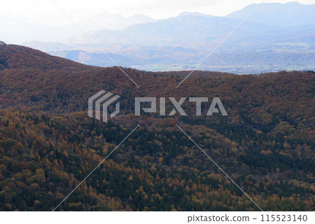 Autumn leaves at Nissho Pass 115523140