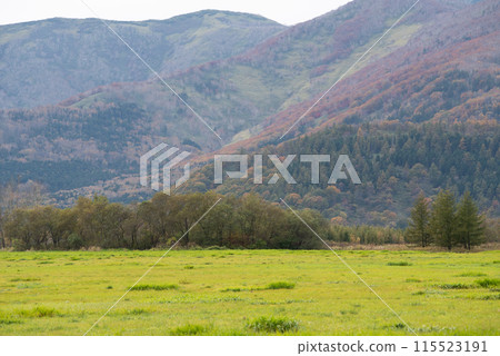 Autumn foliage seen from the Tokachi Plain 115523191