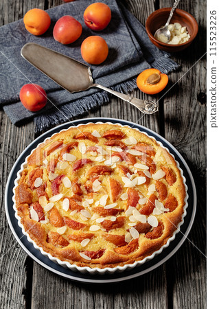 apricot frangipane tart, a french summer dessert 115523226