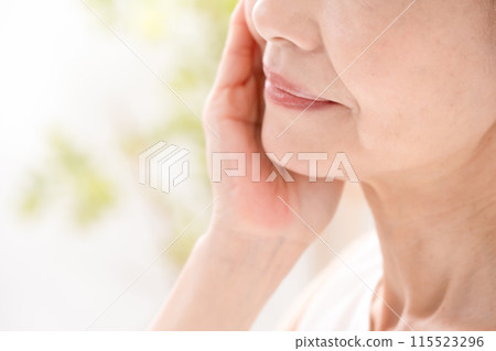 女性高級臉頰嘴 115523296