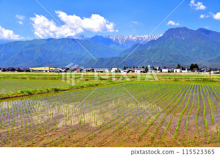 從池田町眺望常年嶽至有明山（長野縣池田町） [2024.6] 115523365